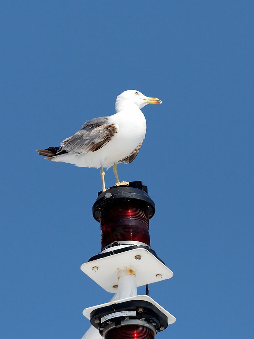 Free Image of At rest 
