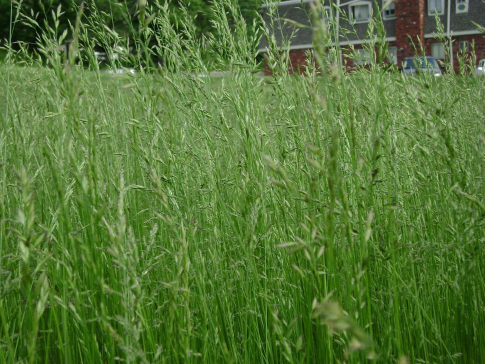 Free Image of Rolling Fields 