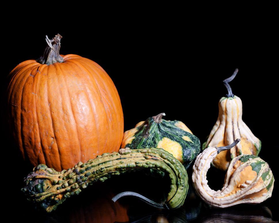 Free Image of Gourds 