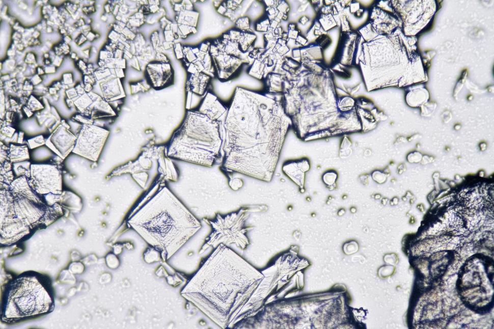 salt crystals microscope
