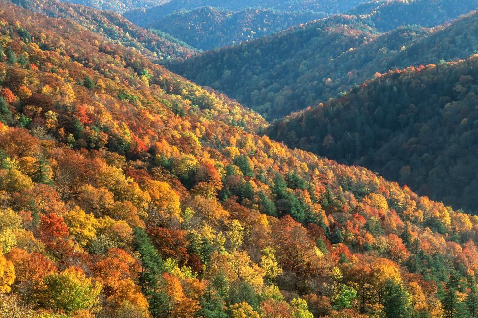 Free Stock Photo of Great Smoky Mountains National Park | Download Free ...