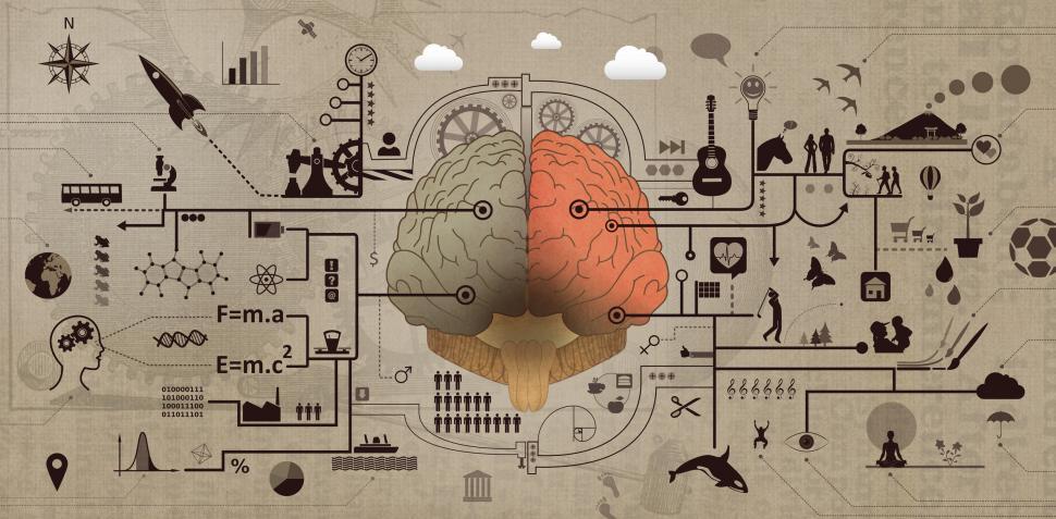 Download Free Stock HD Photo of Learning and Education - Brain Functions Development Concept Online