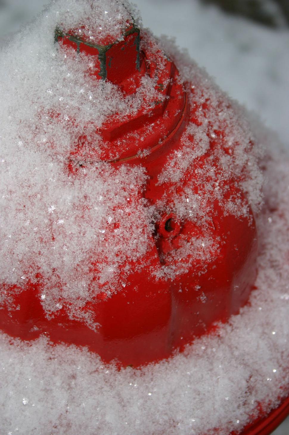 Free Image of First Snow 