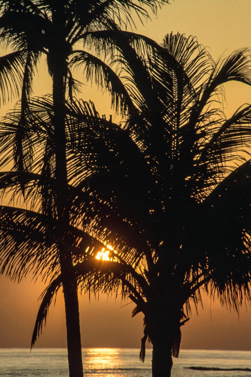 Michelle & Tony's Sunset Photoshoot in Montego Bay, Jamaica