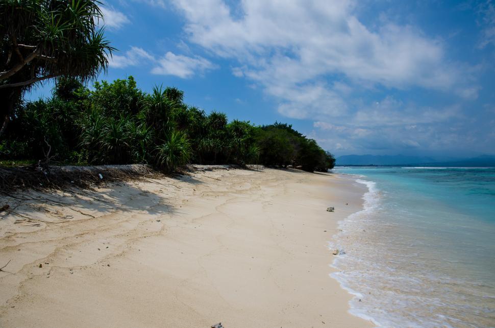 Free Image of A Sandy Beach Next to the Ocean Under a Blue Sky 