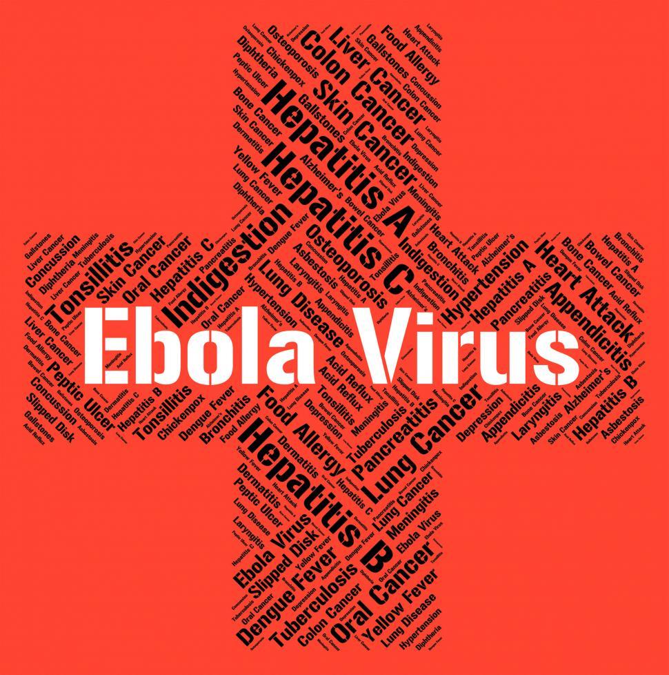 Free Image of Ebola Virus Represents Microbe Pathogens And Disease 