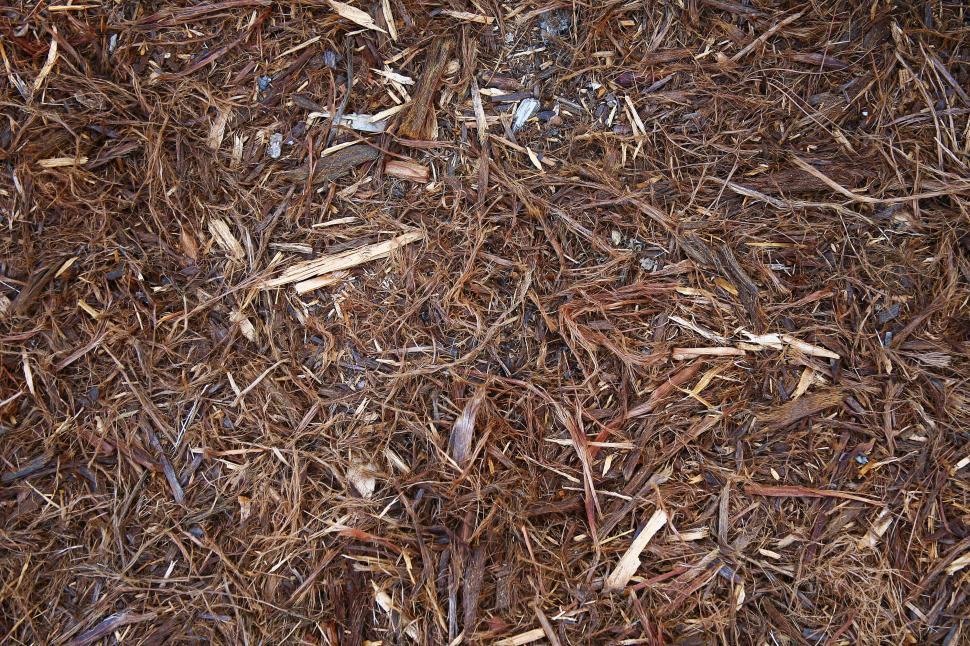 Image of Shredded bark mulch free image