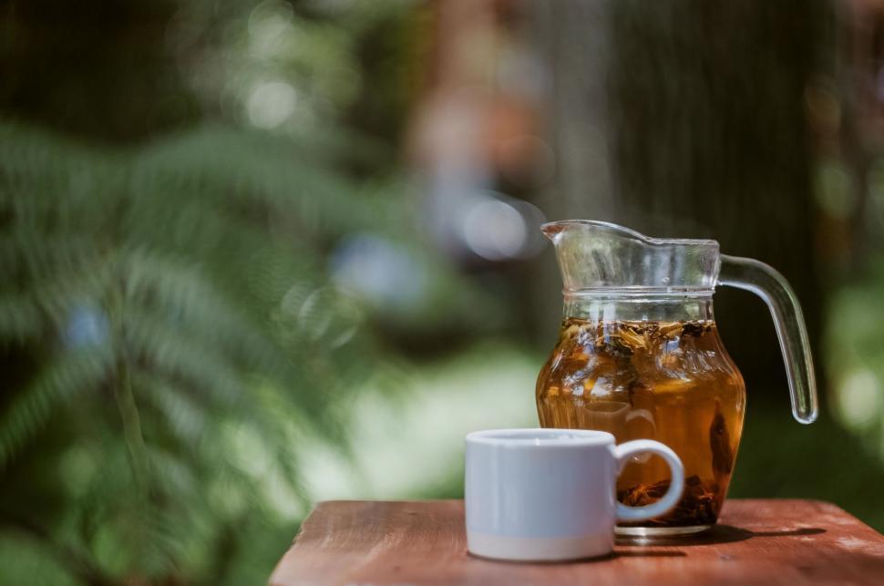 Free Image of Herbal tea 