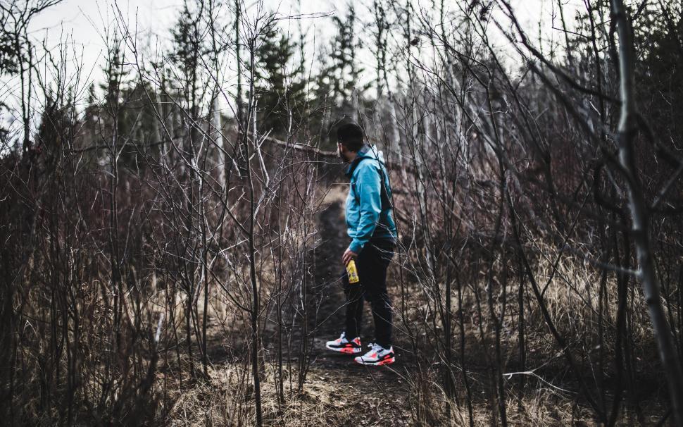 Free Image of Person Standing in the Middle of Forest 