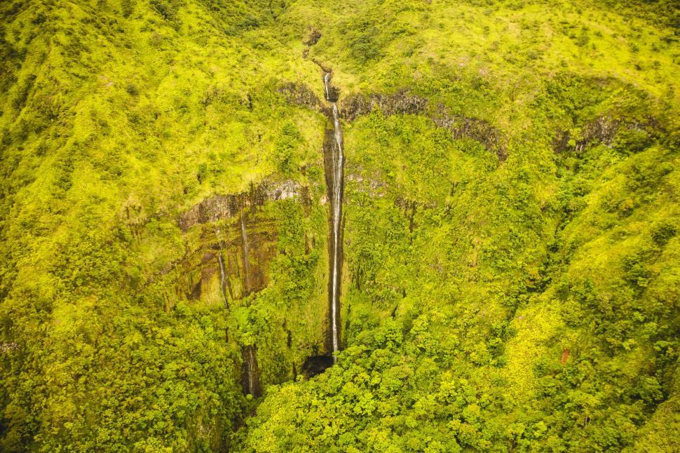 Free Image of Aerial View of Lush Green Forest 