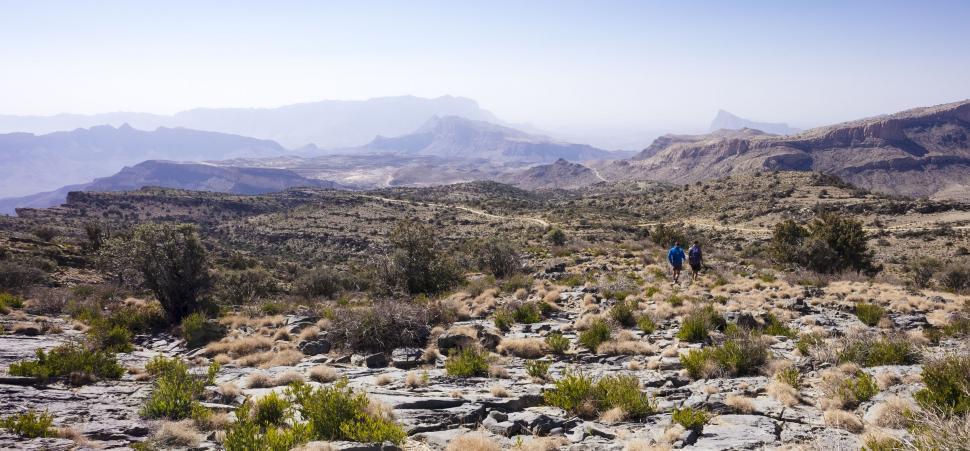Free Image of A Man Walking Through a Desert Landscape With Mountains 