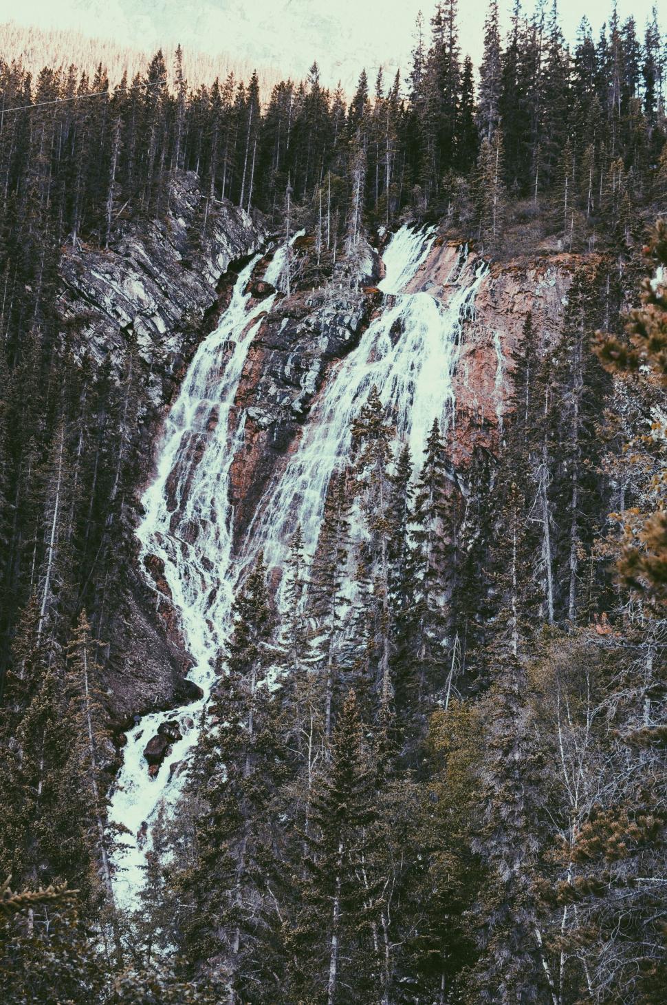 Free Image of Majestic Waterfall in Dense Forest 