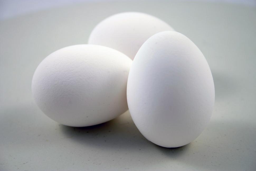 Egg, Free Stock Photo