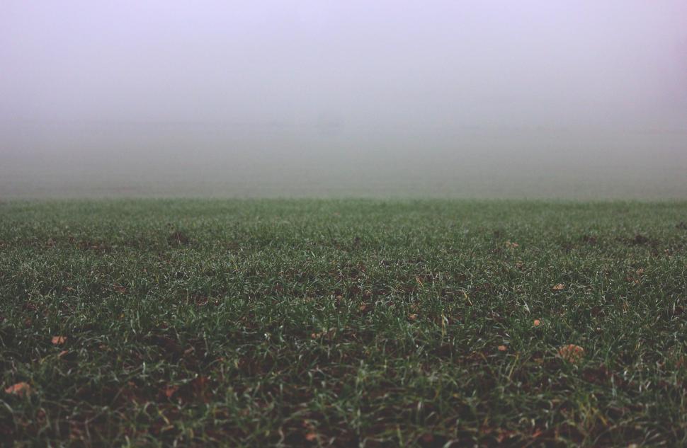 Free Image of Foggy Field in Black and White 