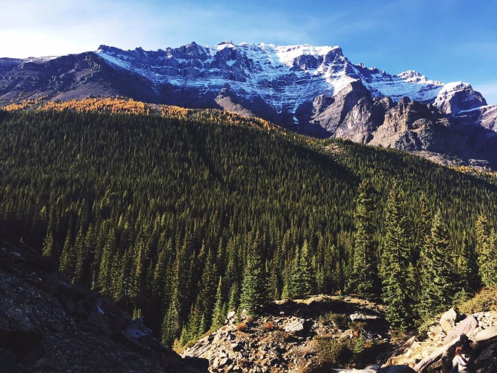 Free Image of Mountain Range With Trees in Foreground 