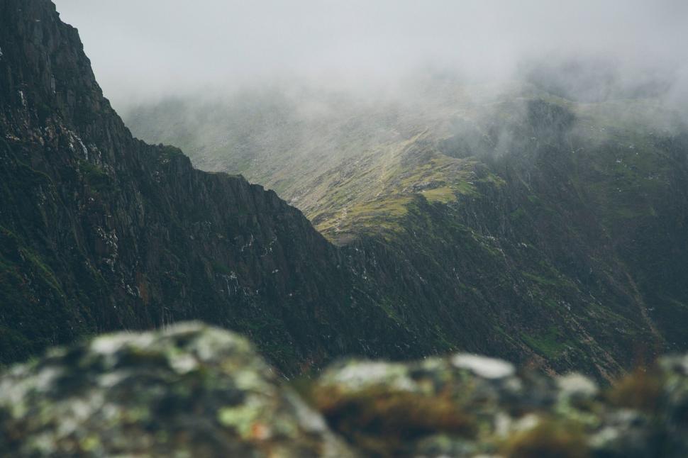 Free Image of Bear Standing on Mountain Summit 