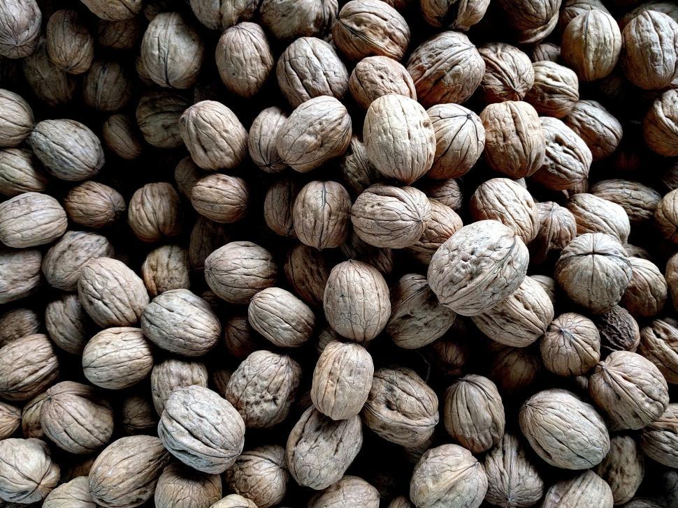 Free Image of Assorted Nuts in a Bowl 