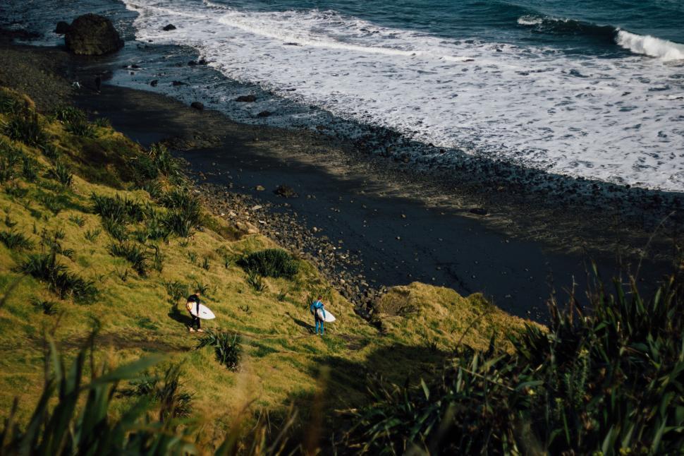 Free Image of Group of Birds Standing on Lush Green Hillside 