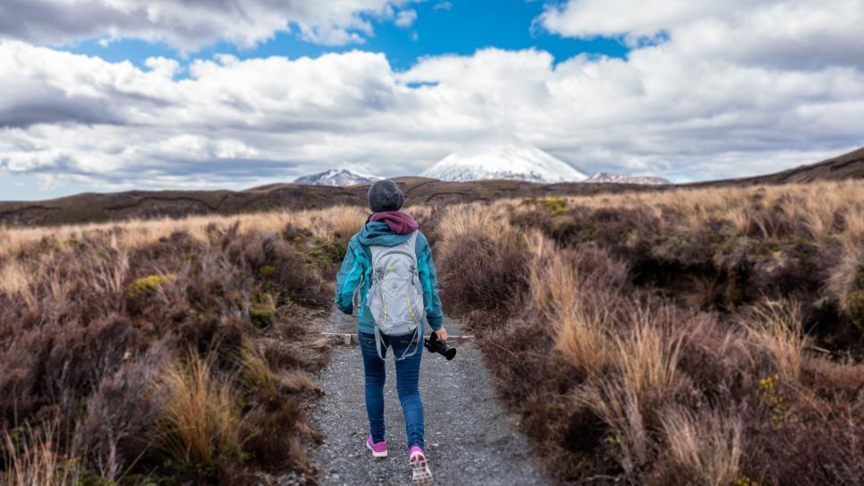 Free Image of Person Walking Down a Path in a Field 