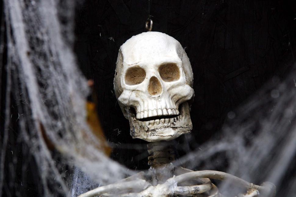 Free Image of Skeleton Hanging From Spider Web in Room 
