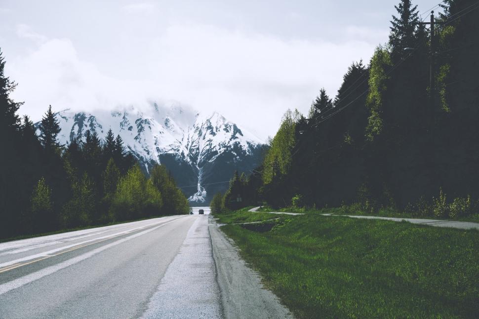 Free Image of Car Driving Down Road in Forest 