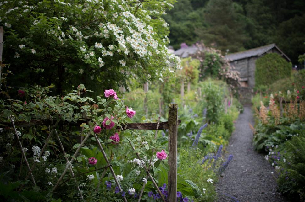 Free Image of A Path Through a Lush Green Forest Filled With Flowers 