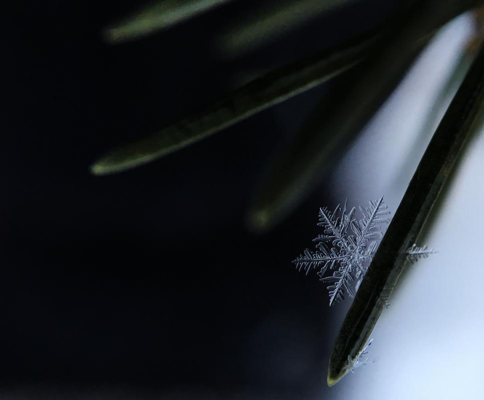 Close Up of Scissors on Table