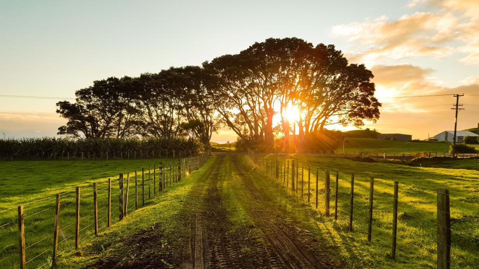 Free Image of Field With Fence and Trees at Sunset 