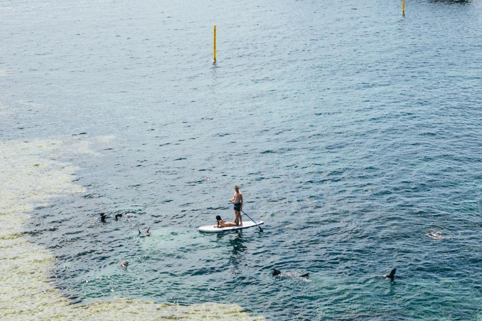Free Image of Person Surfing on a Surfboard in Open Water 