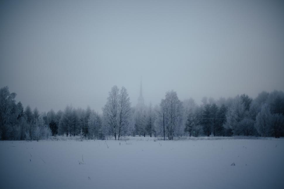 Free Image of Snow Covered Field With Trees in Background 