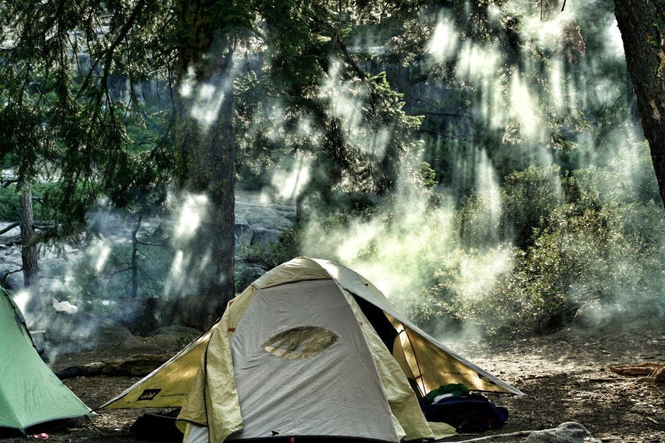 Free Image of Tents Amidst Forest 