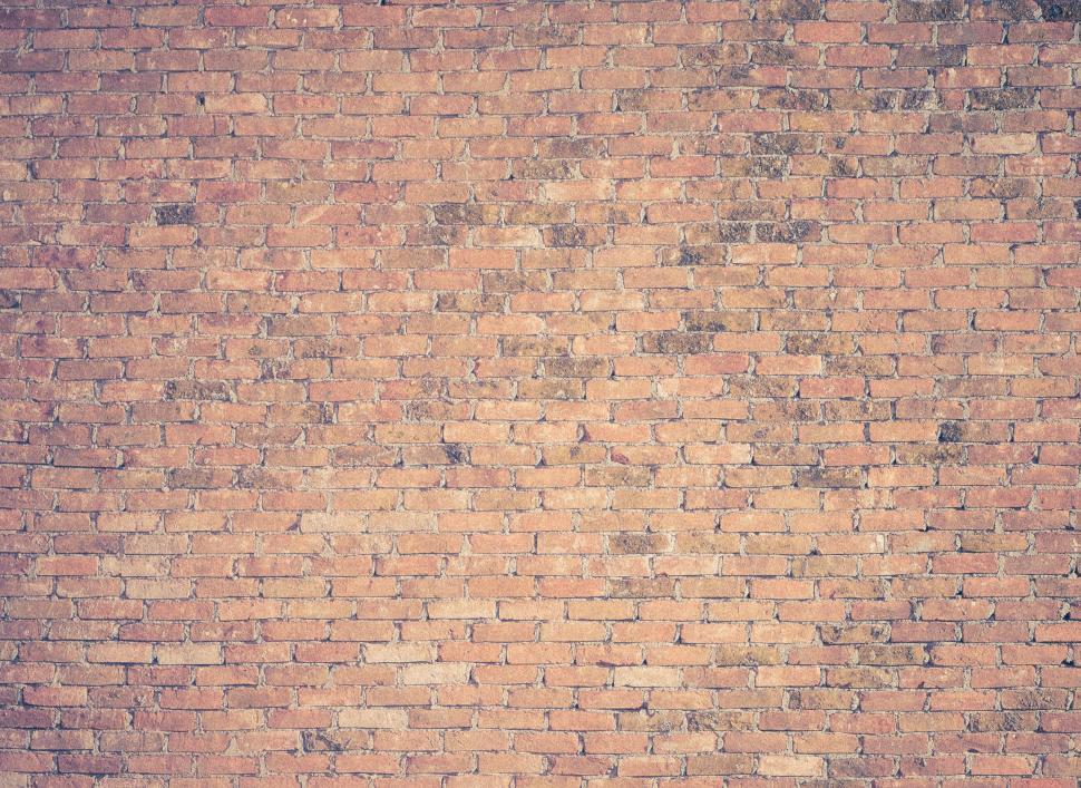 Free Image of Man Skateboarding Down Street Along Tall Brick Wall 