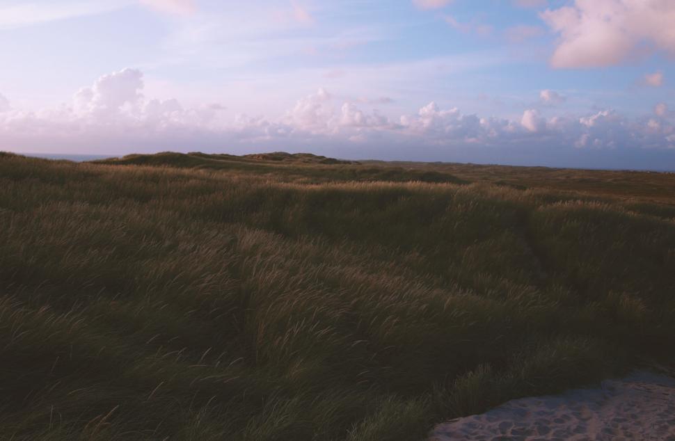 Free Image of Man Surfing on Surfboard in Lush Green Field 