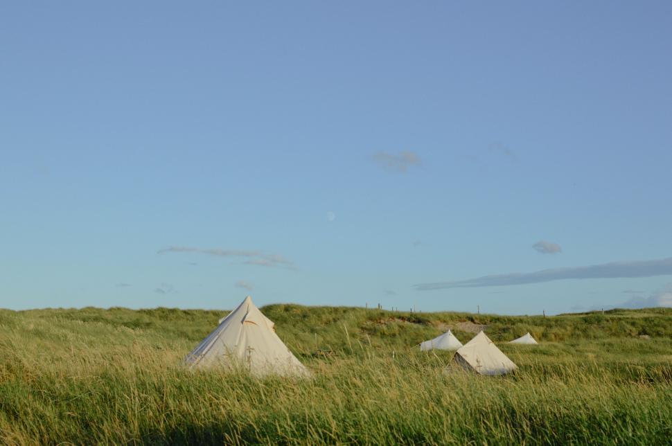 Free Image of Field of Tall Grass Under Sky 