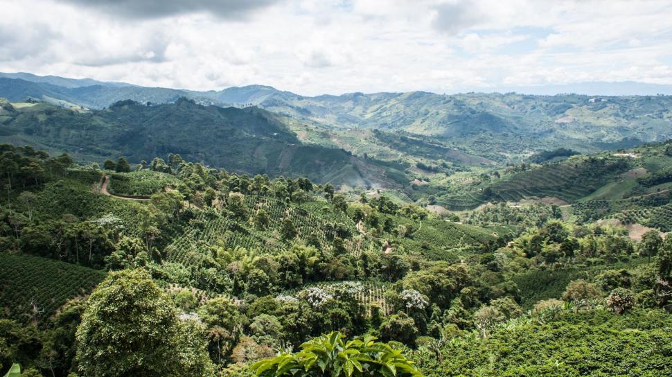 Free Image of Lush Green Valley With Mountains 