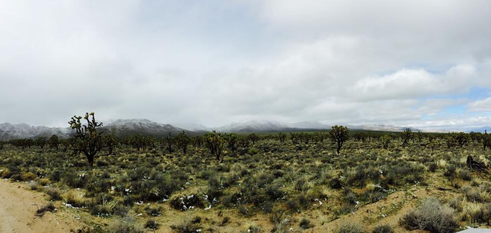 Free Image of A Car Driving Down a Dirt Road in the Desert 
