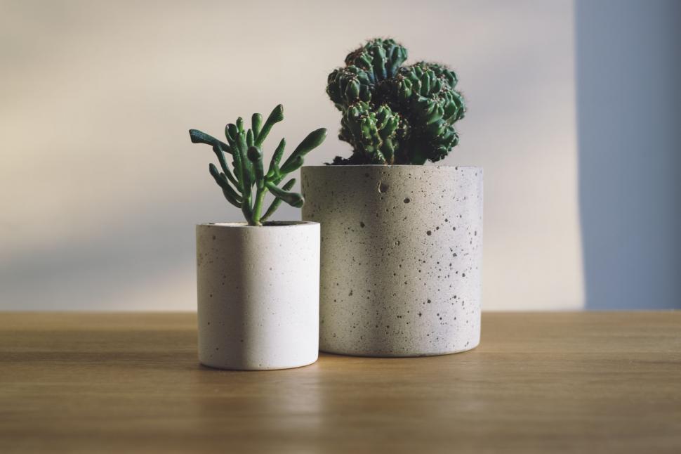 Free Image of Two White Vases on Wooden Table 