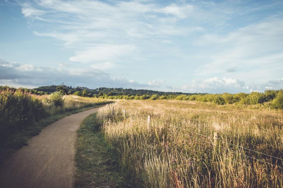 Free Image of Dirt Road Cutting Through Tall Grass Field 