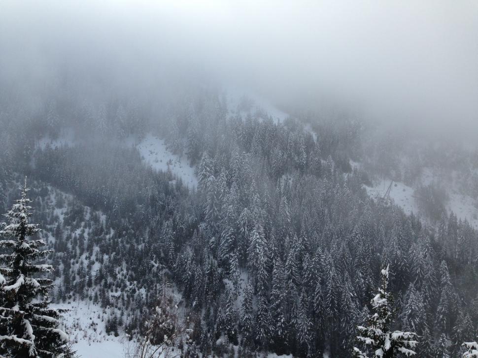 Free Image of Snow Covered Mountain With Trees 