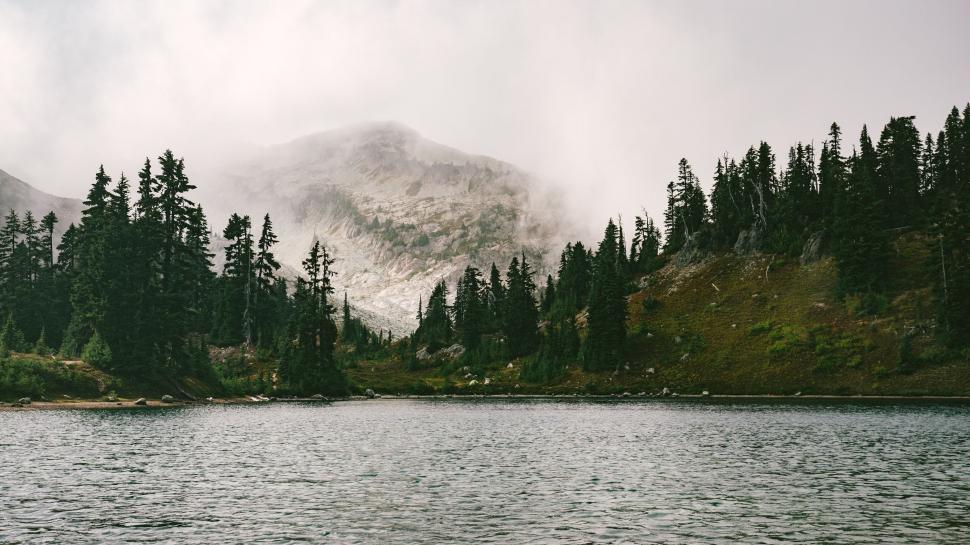 Free Image of Large Body of Water Surrounded by Trees 