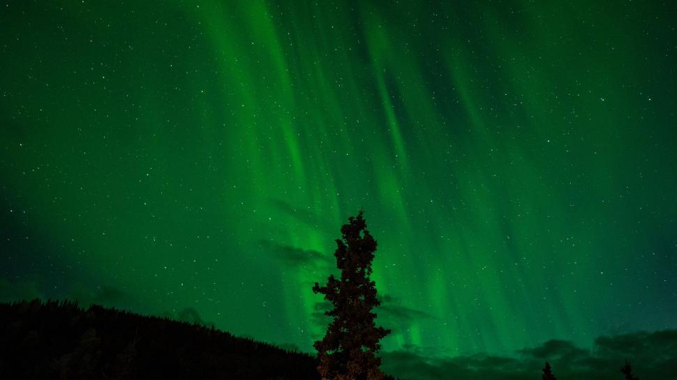 Free Image of Green and Black Sky With Tree in Foreground 