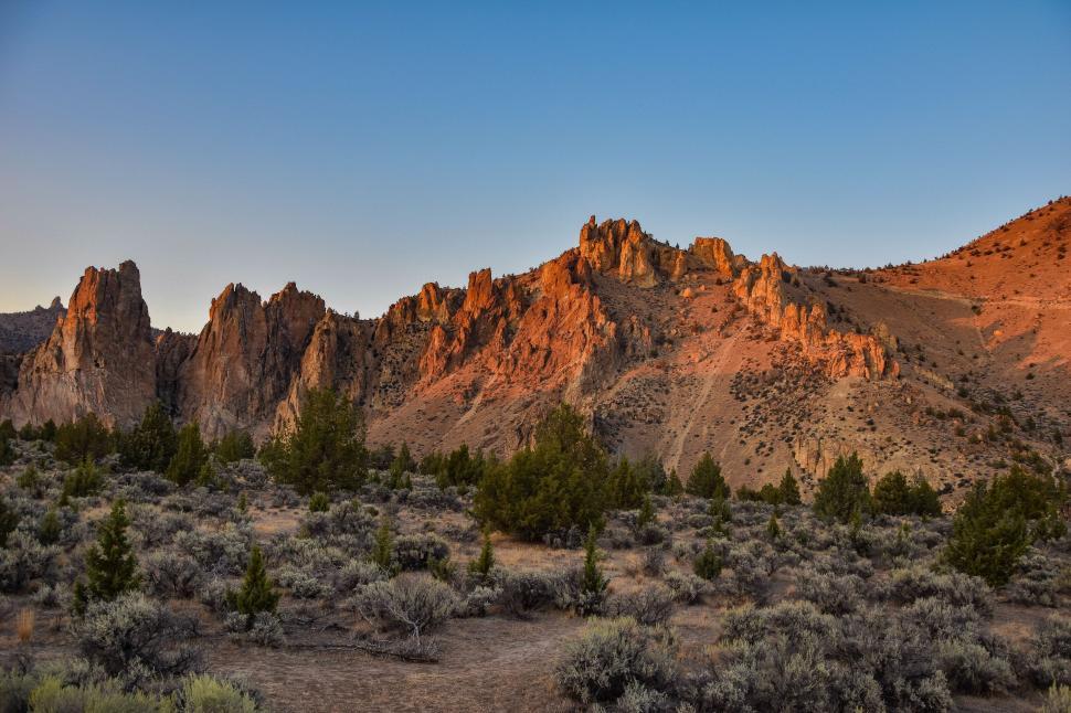 Free Image of Majestic Mountain Range With Trees and Bushes in Foreground 