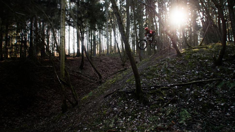 Free Stock Photo of Person Riding a Bike on Trail in Woods | Download ...