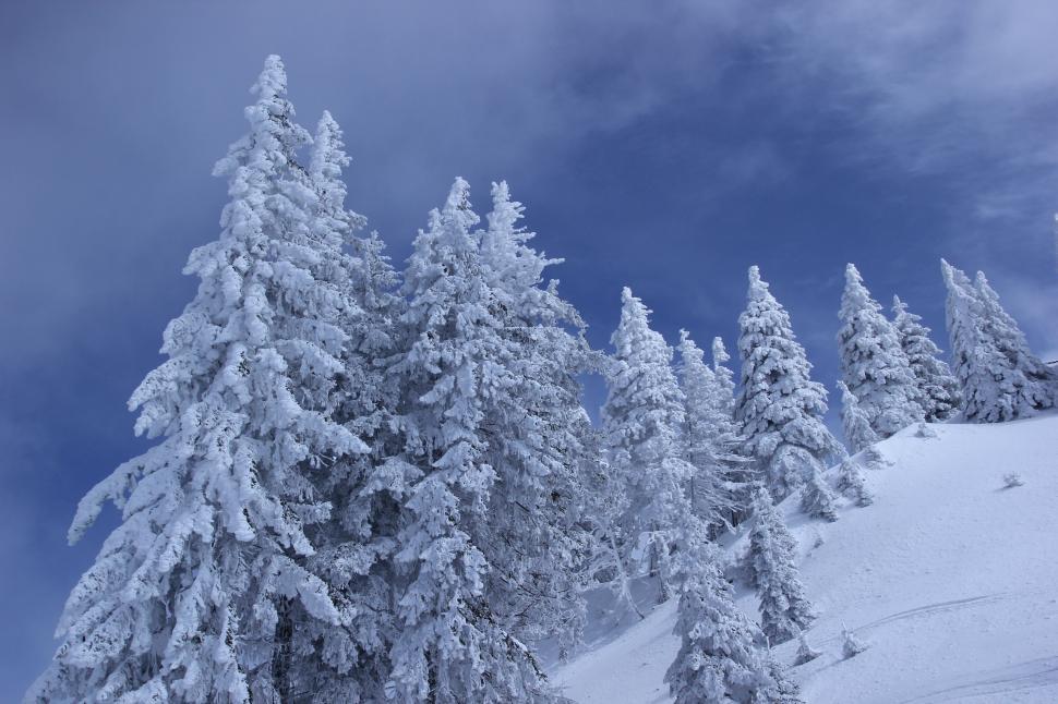 Free Image of Person Skiing Down a Snow-Covered Mountain 