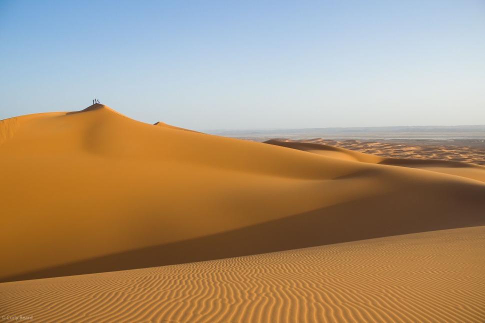 arid and desert soil
