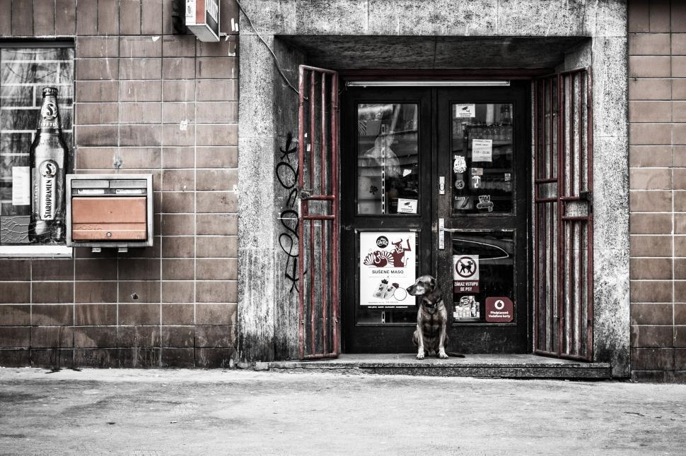 Free Image of Person Standing in Front of Building 