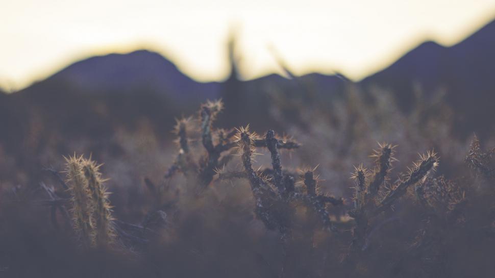 Free Image of Blurry View of Mountain Range 