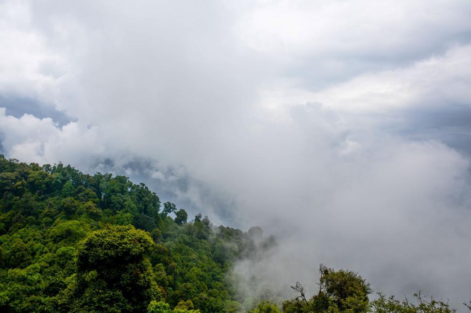 Free Image of Cloud-Covered Mountain With Trees 