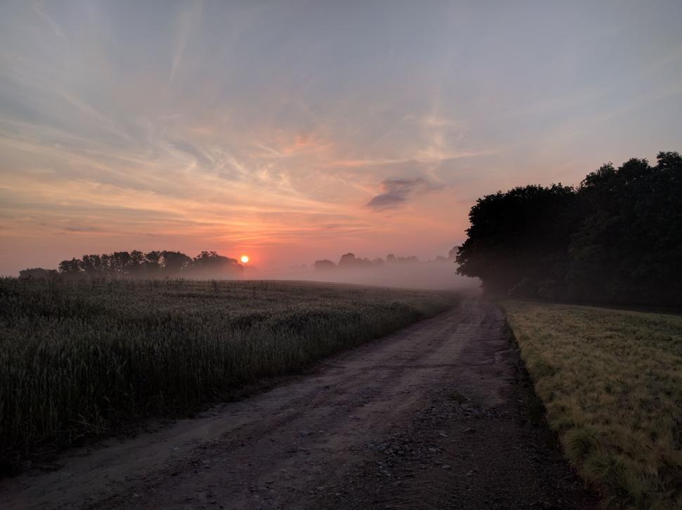 Free Image of Dirt Road Cutting Through Field 