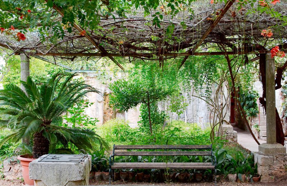 Free Image of The garden 